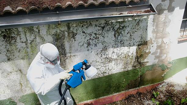 Top rated local Commercial Mold Remediation specialists in Crofton, MD